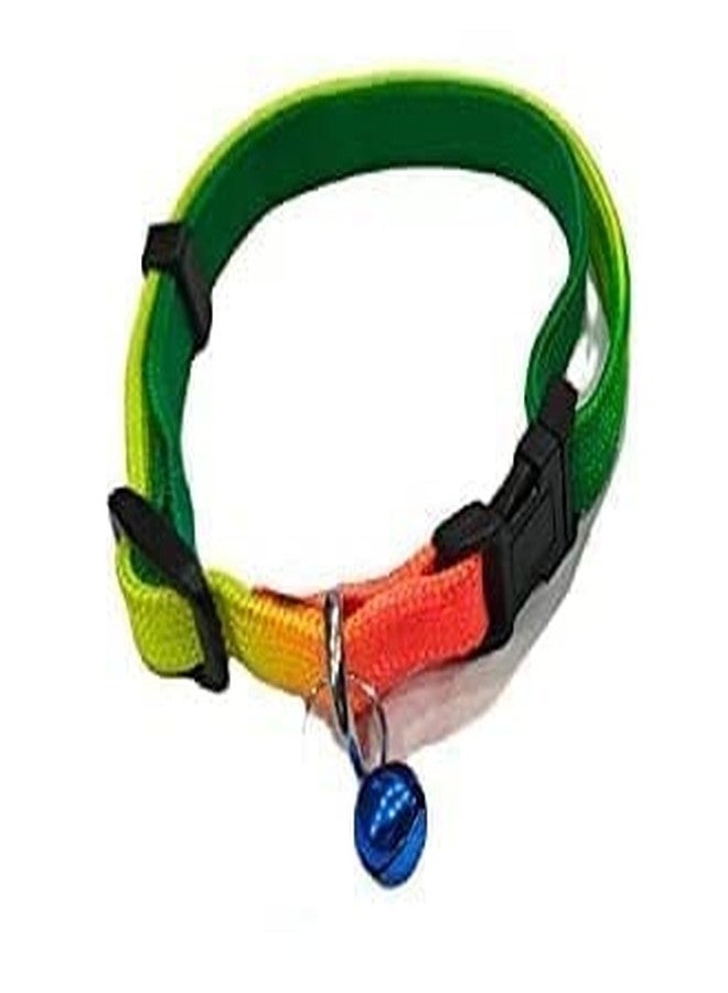 Smart Pups Colourful Adjustable Nylon Puppy Leash Harness and Collar Combo, Suitable for Puppy 15 mm Multicolor (Collar + Harness + Leash) (1 Pack 3 Pcs) - Image 2
